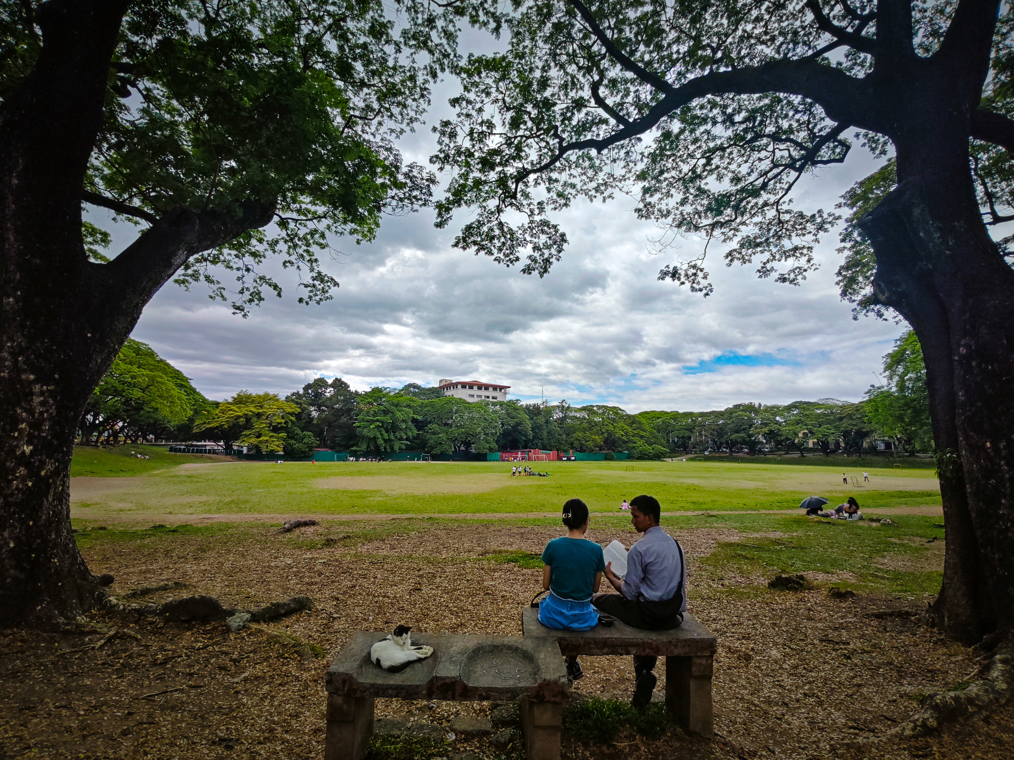 Photo of UP Sunken Garden
